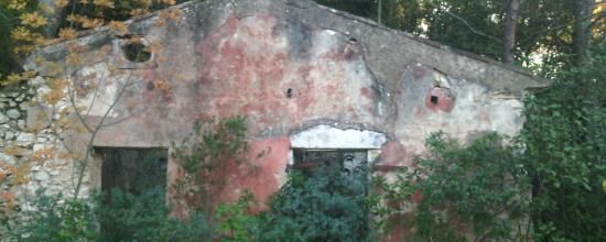 RÊVE DE LA FAMILLE GRAS : NOTRE CABANON A MEYREUIL 1889-1979