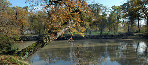 marche douce du vendredi 19 avril : Bois de Thouars