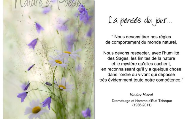 Citations en images : La nature