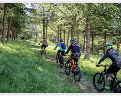 🚴  Organisations de randonnées VTT : une baisse d’engouement ?