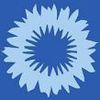 Le bleuet, symbole 11 novembre ! grillette 2017