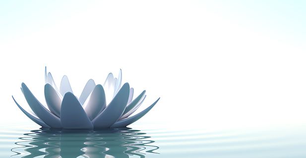 Le jeûne: Les fondements spirituels