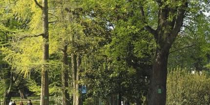 Nantes nature ... et découvertes