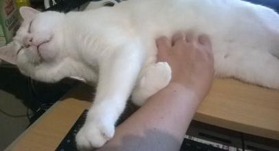 Quand je veux un calin...