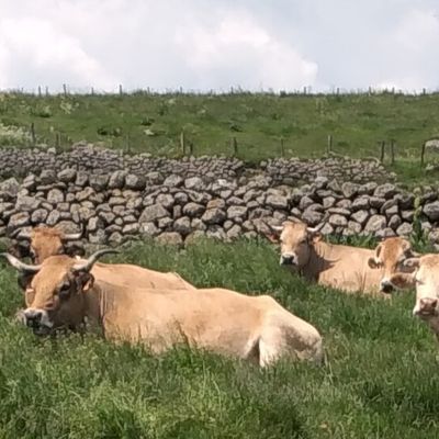 ... parlons français!