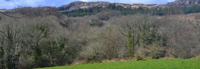  fraicheur verte 