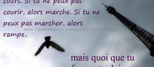 Une hirondelle ne fait pas le printemps.......mais ........