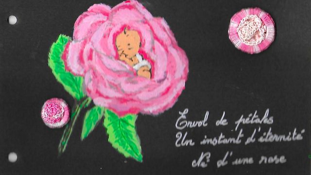 Bouton Dorset de Juillet en rose