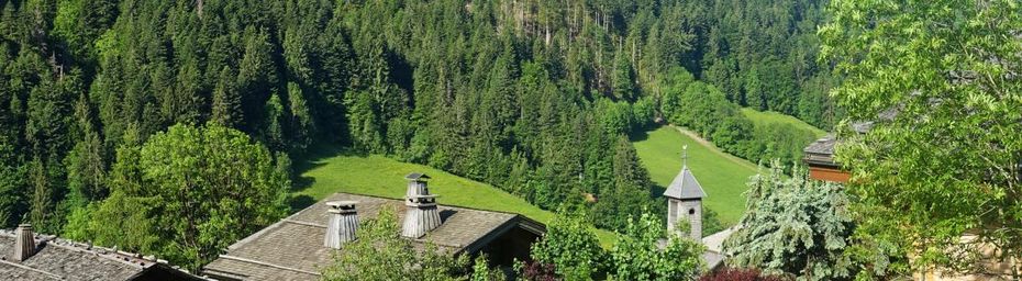 La Tête des Annes, un belvédère face aux Aravis 
