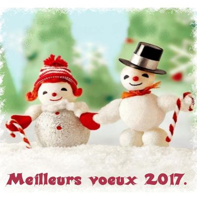 Bonne Année 2017