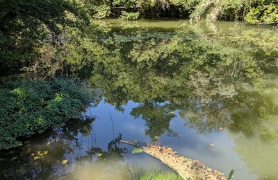 Défi reflets N°3 / 2025