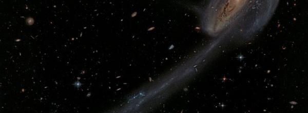 Galaxie du tétard