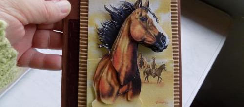 Carte en 3D pour Nicolas