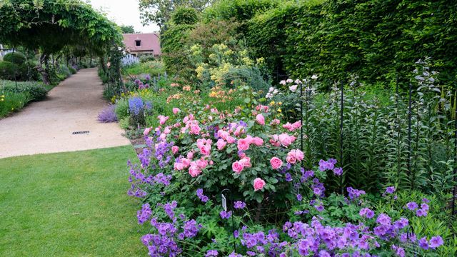 Pensez l'Harmonie au Jardin