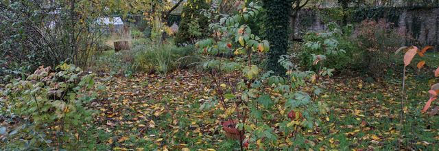 La magie de l'automne