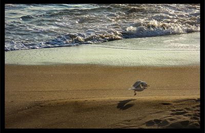 Week-end ...