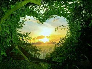 Il y a encore de l'amour ... 