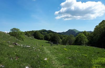 Le 21 mai 2020 : De la Biche à Charbemène - 1