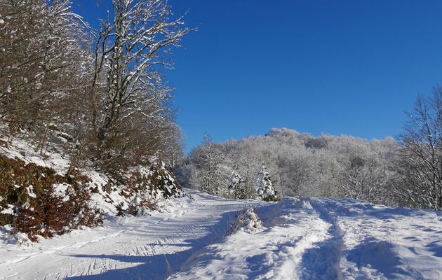 Le 12 décembre 2024 : Et si on allait voir le Mont Blanc