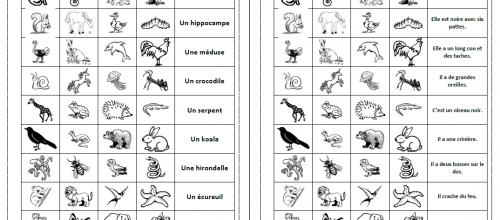 40 animaux