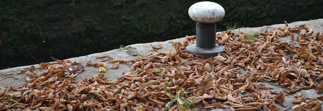 La photo du weekend : L'automne