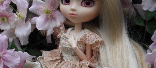 Clematis Spirit