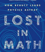 Download Pdf Lost in Math: How Beauty Leads Physics Astray