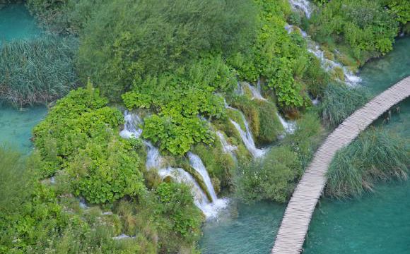 Cascades (2)