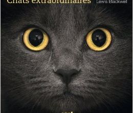 Chats extraordinaires