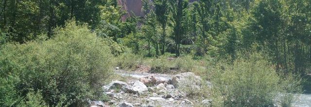 Randonnée dans les gorges de Taghia (2)