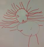 organigramme schéma corporel