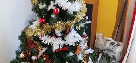 un Noël en bonne compagnie comme je les aime... 
