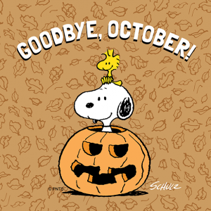 Bonjour le mois de novembre, le mois d'octobre pele-mele