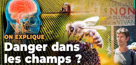 Acétamipride: la vraie pétition contre l'importation de produits traités vient de démarrer, le 22 juillet!