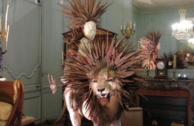 Rambouillet : les « Natures sauvages » s’exposent au château.