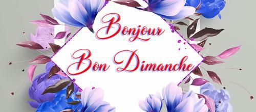 BON DIMANCHE FLEURS
