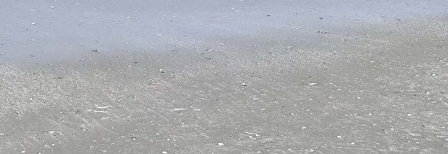 UNE SEMAINE à LA MER 