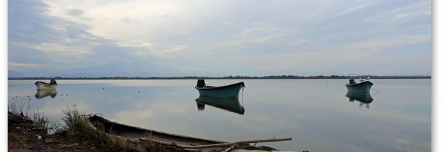 Petite balade matinale dès mon retour dans le Sud