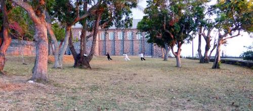 Tai Chi Nature