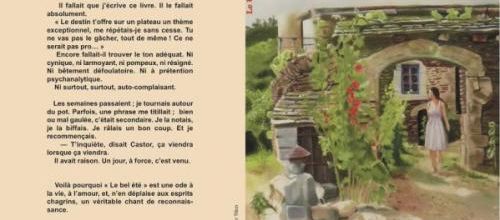Waahou, la belle critique !