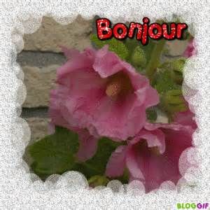 Les chemins fleuris de l'ile d'Hoedic  ( 1 )