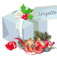   179 Cadeau pour toi
