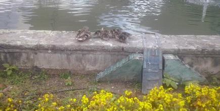 Konzerte in Deutschland- Teil eins: ZZ Top