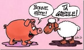 Porc ou agneau ?