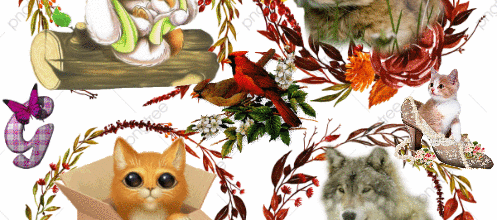 animaux automne fond blanc