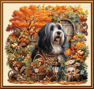 Pause forcée - Janine et Tavia 