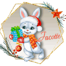 Réception marche de Noël Jacotte 2