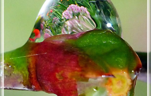 L'air du temps : goutte d'eau renversée