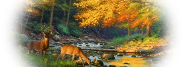 Automne !