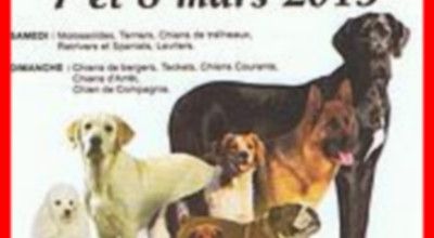 Exposition internationale de Périgueux (24)